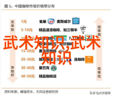 如何平衡工作生活与练习普通人在学习武功时的挑战
