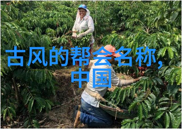 T的压抑与P的释放一场情感风暴的隐秘表演
