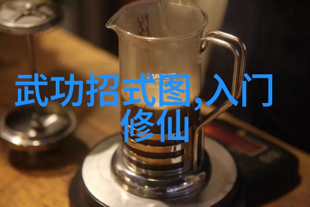 太极拳古代武功中的行云流水赵艳解密套路秘笈