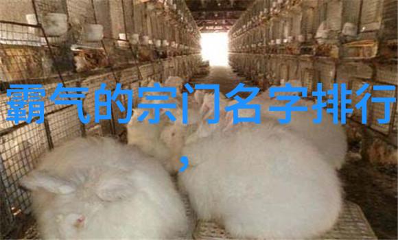 少林武林高手的心头好哪门拳法最受推崇