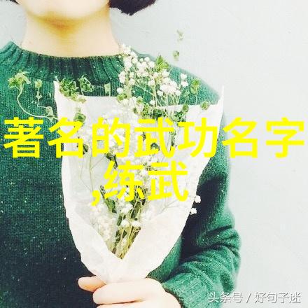 武林秘籍招式大全带图我是如何从一本破旧的书中找到了绝世神功的