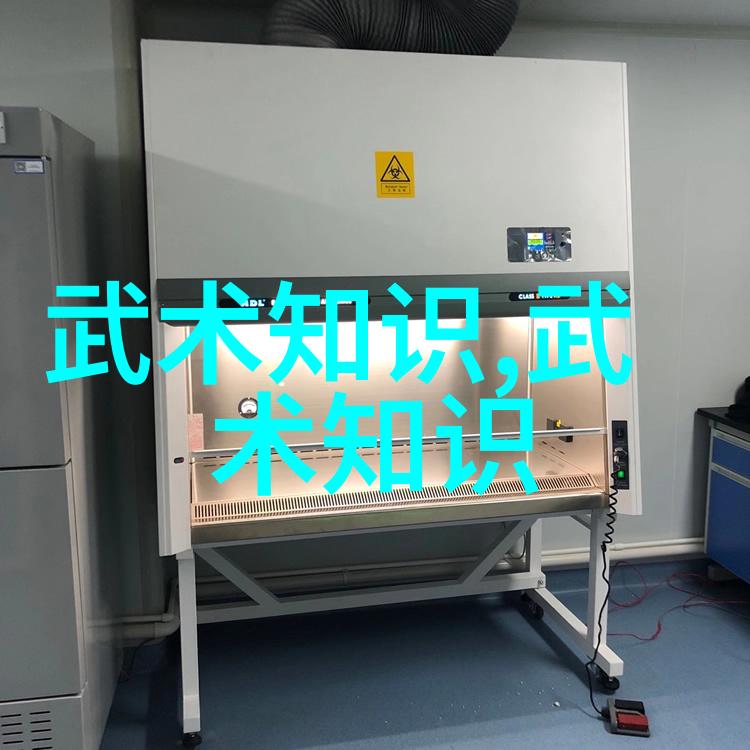 太极拳之精华揭秘24式动作的艺术与智慧