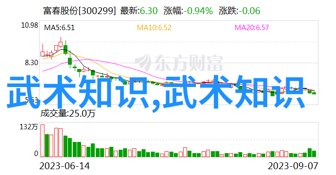 在翻阅少林武功秘籍大全时遇到了许多难以理解的地方该怎么办