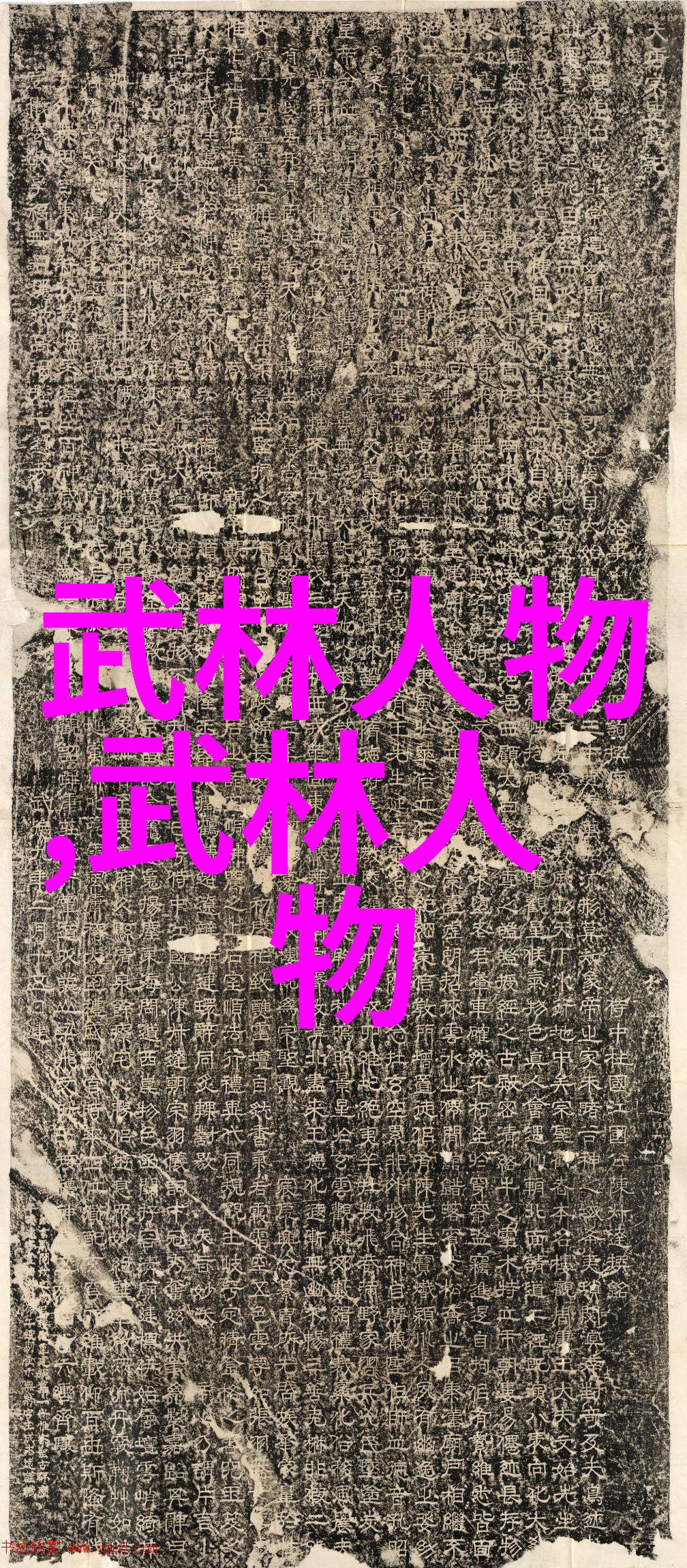 东京热电影网我是如何在这个色彩斑斓的网站上发现自己对日本动漫的无限热爱