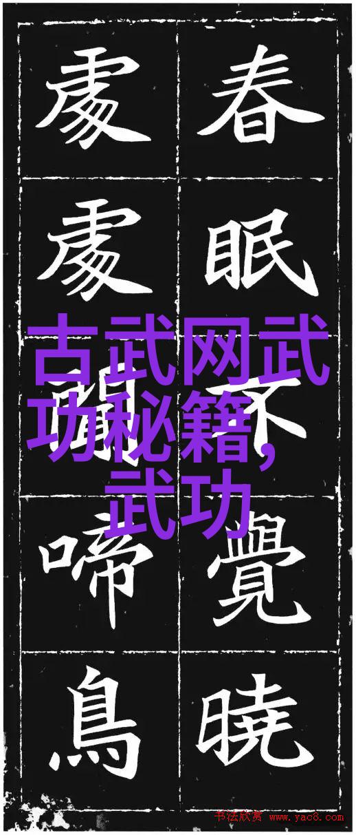 草莓抖音RICHMAN-红毯上的一颗甜蜜果实探索网络红人时代的成功秘诀