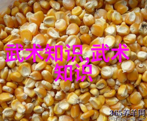 黔境秘派探索贵州武林的神秘面纱