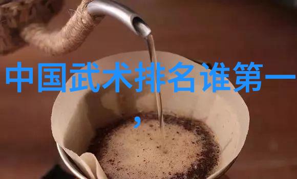 刀光闪烁用刀的武林门派秘传与剑术对决
