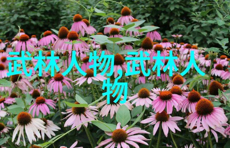 幻域诸宗云霄神盟与月牙修缘