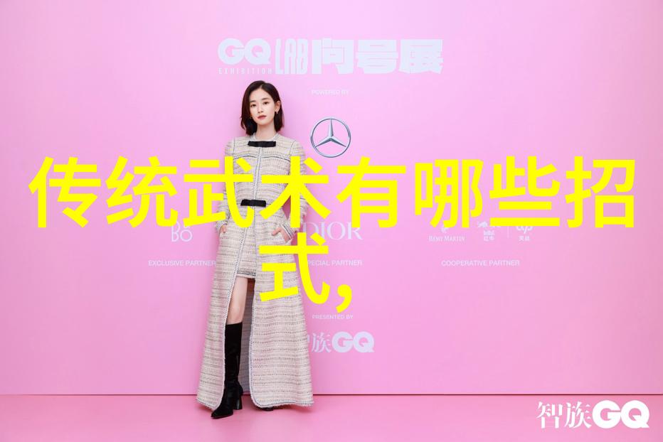 全球范围内人们如何评价中国各派功夫的实战性能力度