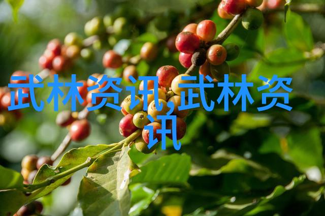 田亮张智霖数据分析奥运跳水冠军何洁洗车压力大似拉煤切肉