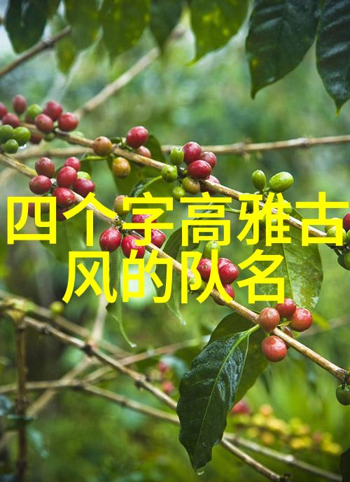 动手体验如何学习和实践中国30个主要武术门派