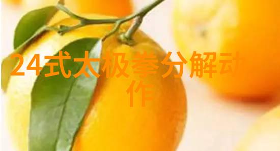精华集结深入剖析中国十大剑法的历史沿革与技巧特点