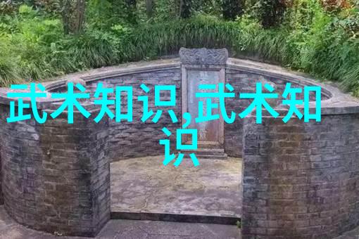 少儿散打武术-小小武士探索孩子们的散打之旅