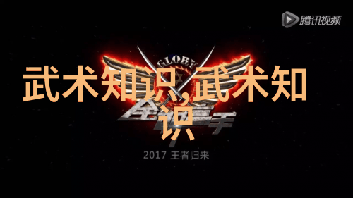 武术自学之道武术学习的正确方法