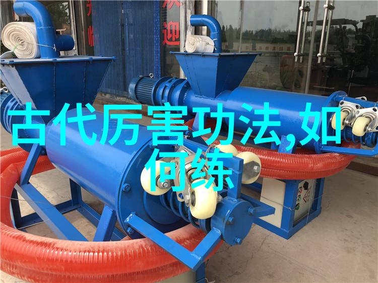 太极24式正面背面 - 揭秘太极拳中的正反两面深度解析24式的技巧与修炼方法