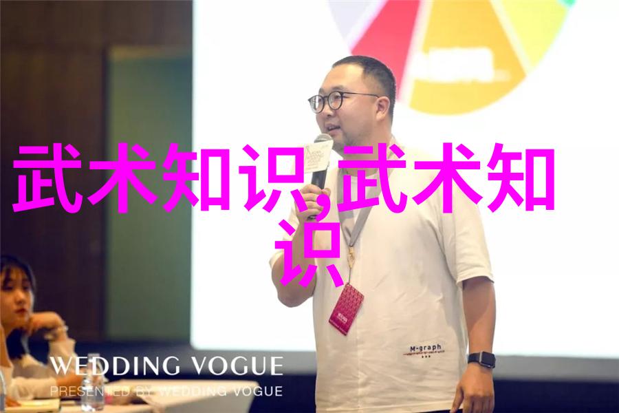 武林新生我与功夫的征程