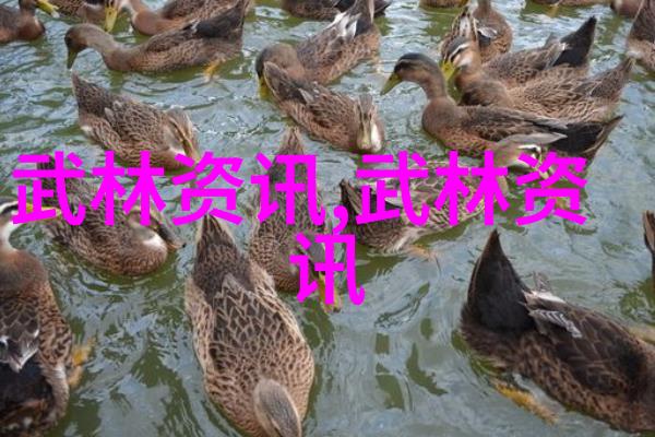 霸道江湖响亮霸气的帮派名字津门五行通背