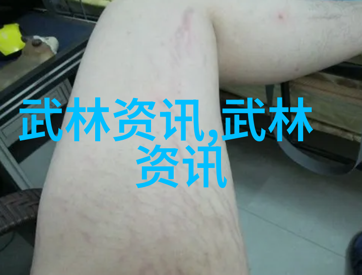 武术资料网探寻太极拳的意它如何在每个动作中跳跃和生长