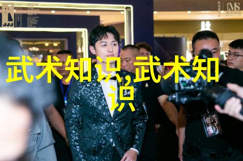 探索中国武术十大拳法之巅峰之作又是何种秘籍