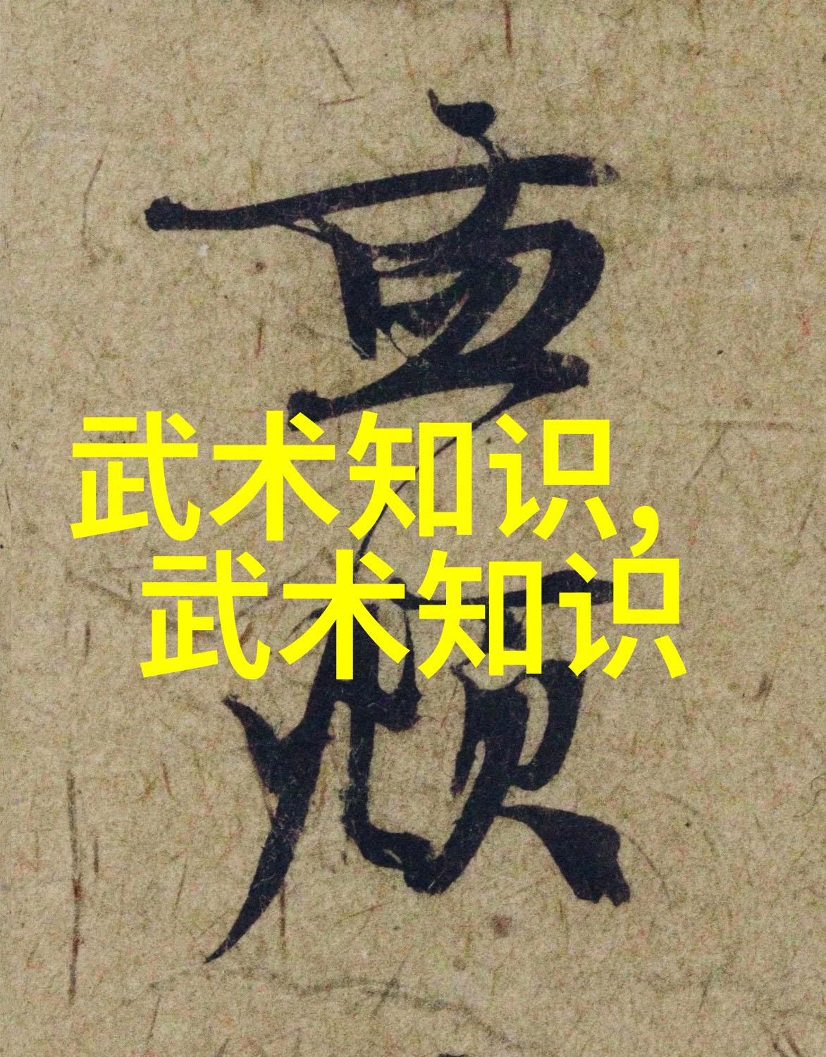 武功秘籍网中华武林绝学收集与分享平台