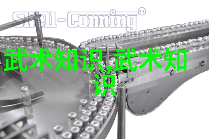 在这个虚构的网站上所有关于武术的内容被禁用了但为什么会有这样一个奇怪的决定呢它背后隐藏着什么秘密让我