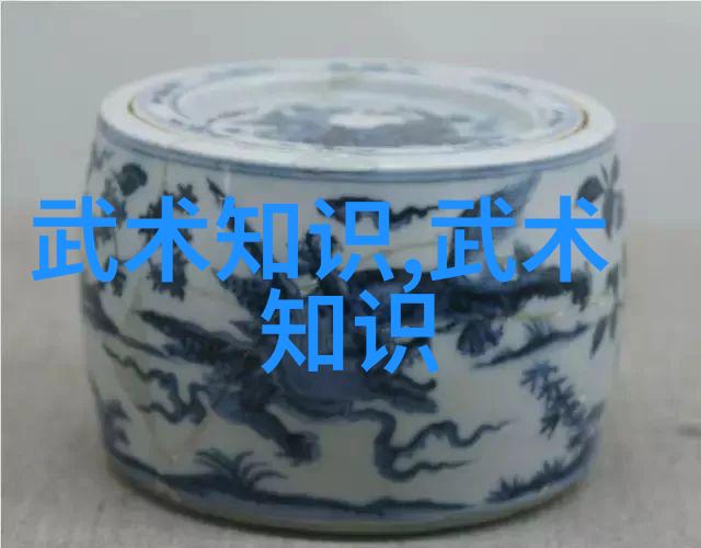 中国武学秘籍拳影中的战略与艺术