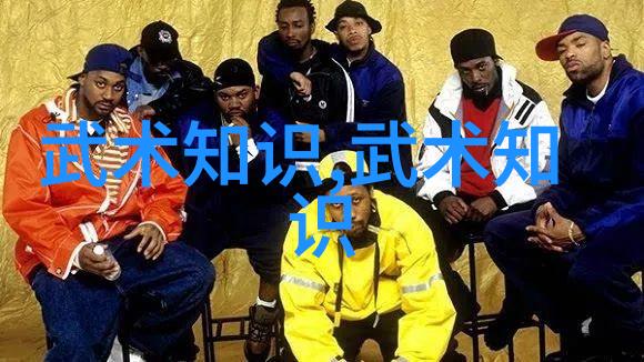 武林门派拳种简介岳家拳在社会中的影响与传承