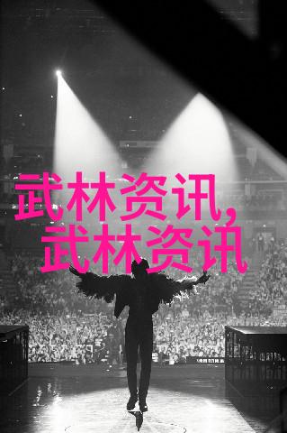 安徽武林门派寻找临清肘捶的踪迹
