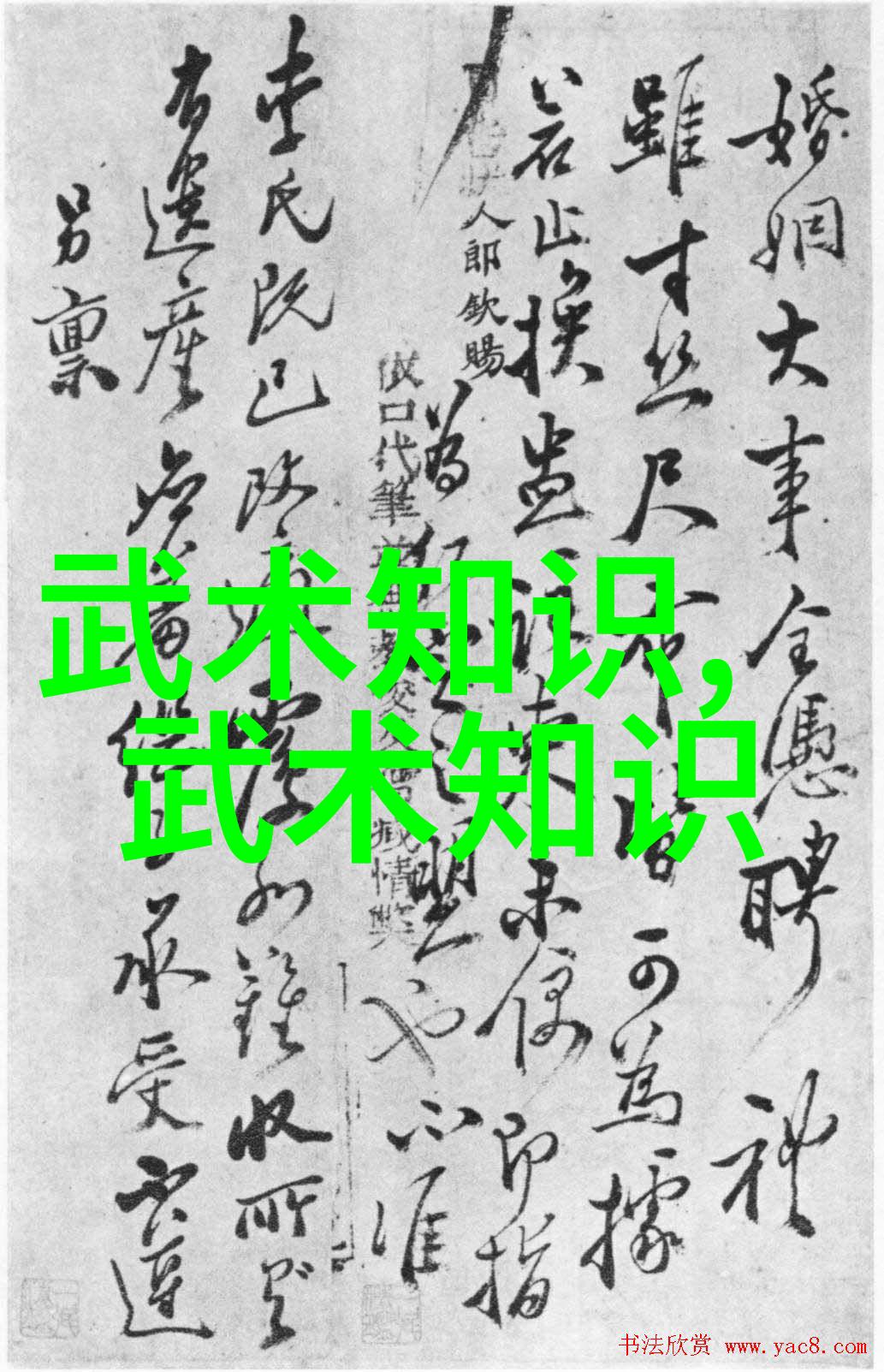 黑暗组织全球十大犯罪集团的秘密帝国