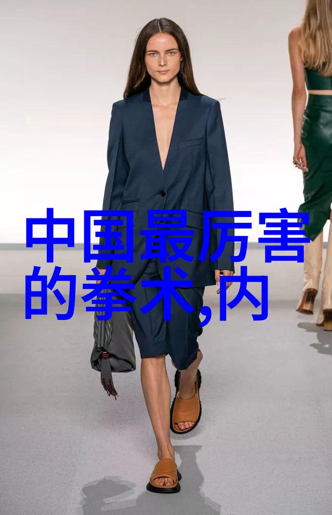 太极拳24式精髓解析太极拳的基本招式与动作分解