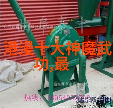 拳影纷飞中国传统武术之魂