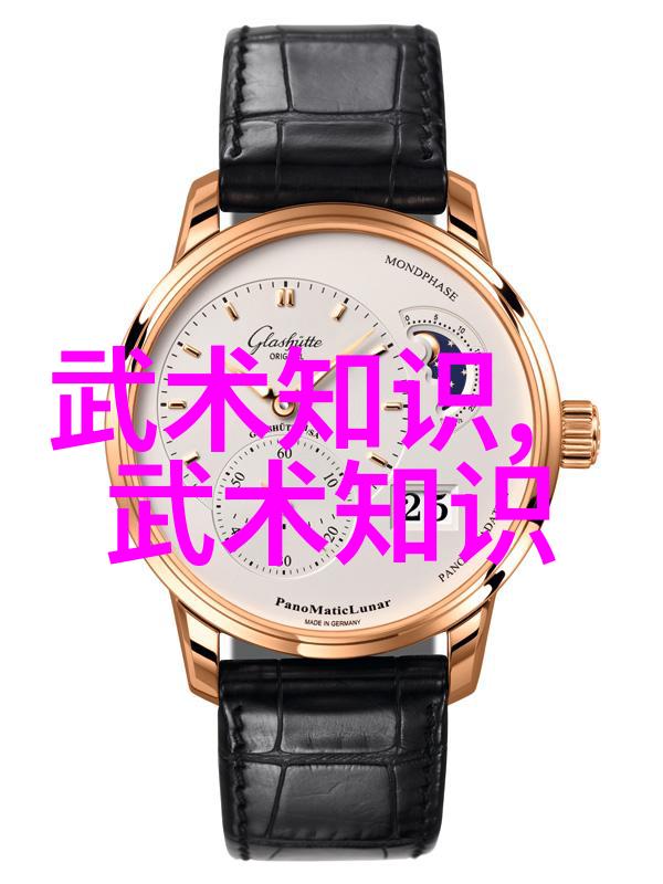云梦仙家七星螳螂拳传承记