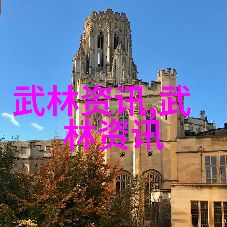 中国武术的辉煌传承揭秘各大流派的独特魅力