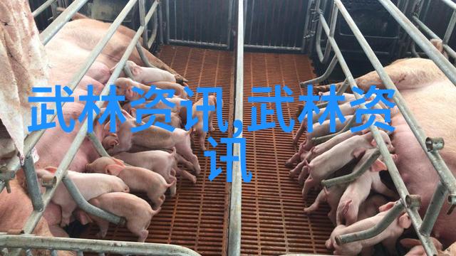 内功淬炼武学秘籍中的修身养性