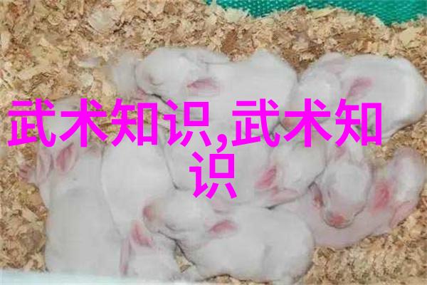 星辰幻境永恒的追忆
