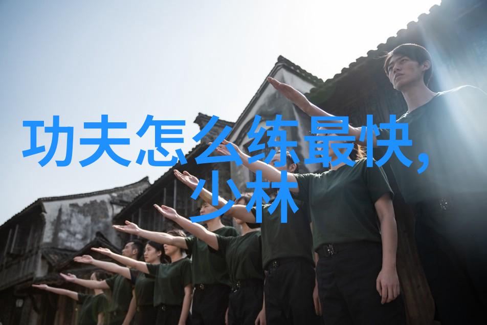 太极拳秘籍揭秘24式的双面智慧