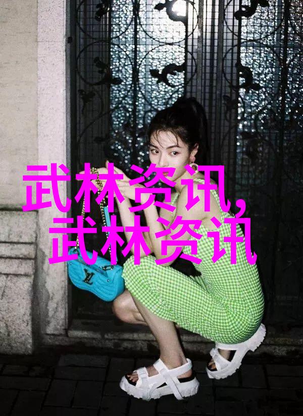武林纵横绝世神功的传承者