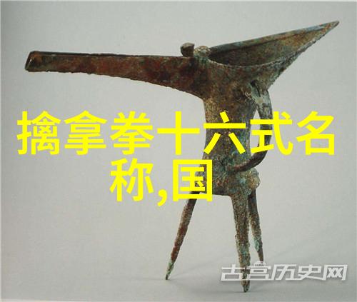 从道教内丹到48式太极拳全套视频带口令王献斐的创拳说悟道之旅
