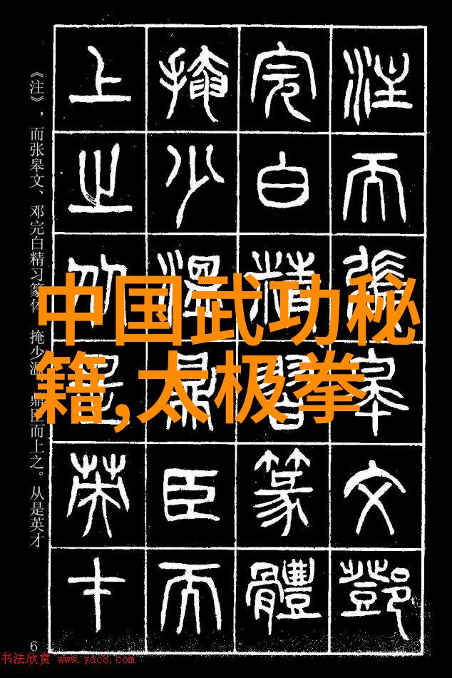 拳影引领武学精髓的传承