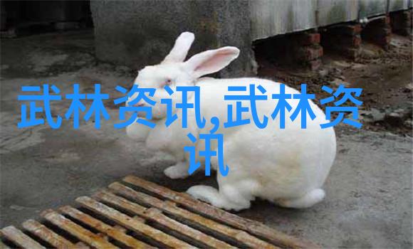 怎样为初学者设计一个有效的功夫训练计划