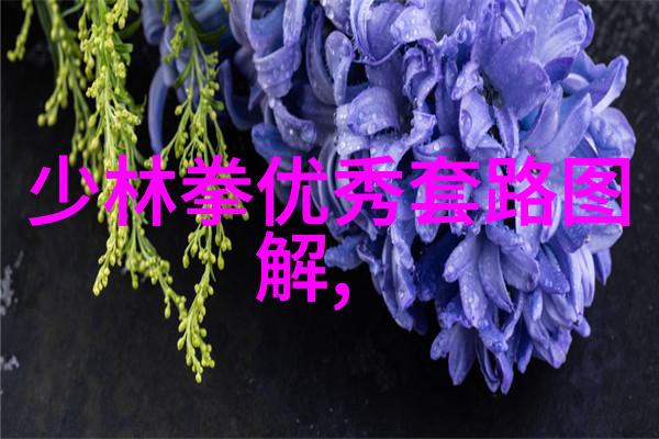 揭秘现存门派探索中华武学的瑰宝与传承