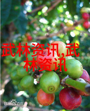 太极拳24式动态解析深入每一式的精髓与应用