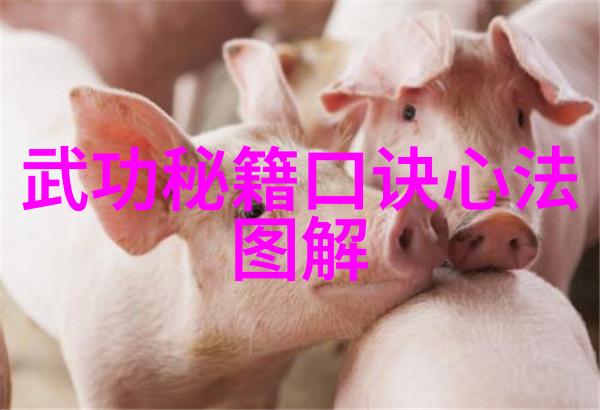 仙门秘笈绵拳之女