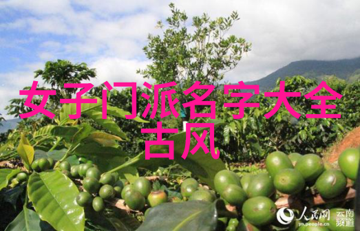 安徽武林秘密门派揭秘江湖深处的古老传统