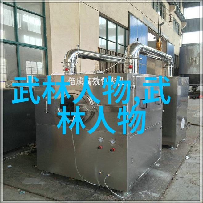 武功秘籍之拳影图解流光绘卷中的招式艺术