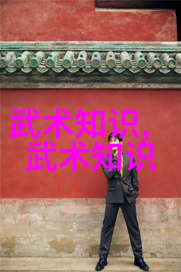 四十式太极拳视频带口令学习传统武术的全方位指南