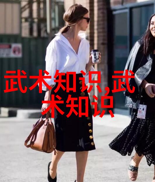中国武术史上最著名的十大流派中国传统武术经典