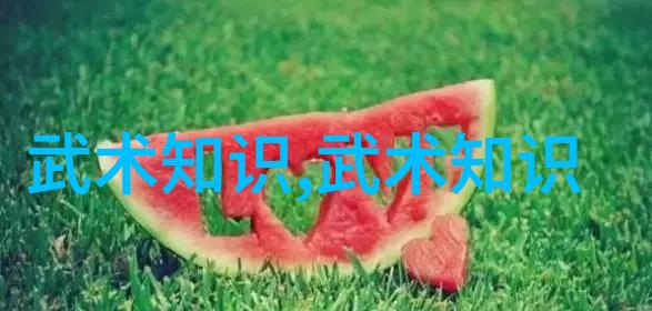 古代武术中的灵犀一击徐海亮解读陈式太极拳九节十八要论