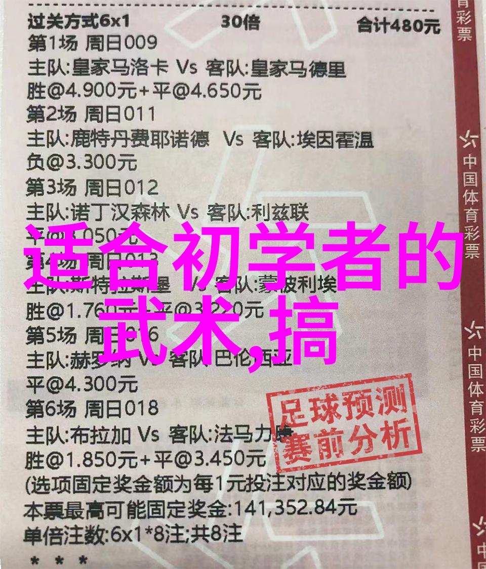 武功自学教学视频揭秘太极散手的精髓顾新法