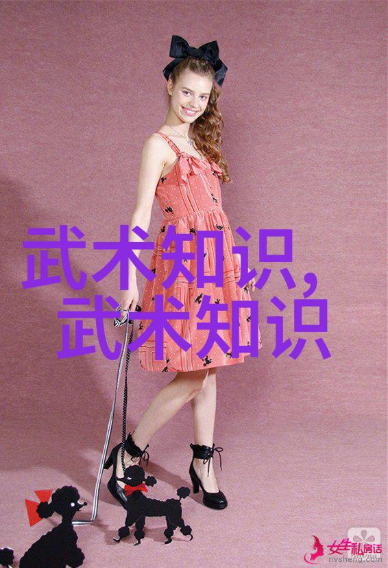 掌握乾坤之基揭秘武学入门的基础武功秘籍